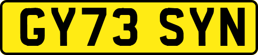 GY73SYN