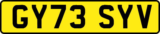 GY73SYV