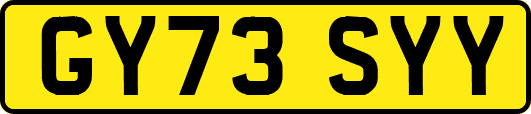 GY73SYY