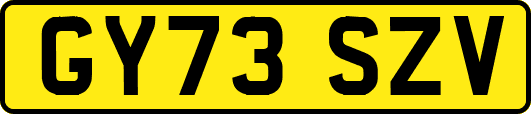 GY73SZV