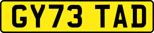 GY73TAD