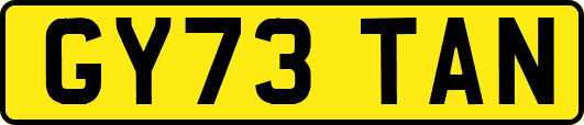 GY73TAN