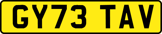 GY73TAV
