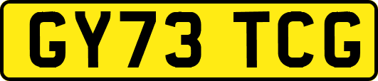 GY73TCG