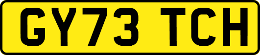 GY73TCH