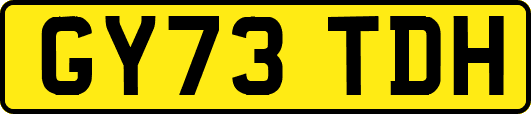 GY73TDH