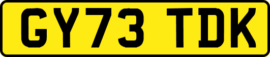 GY73TDK