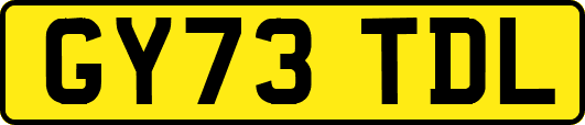 GY73TDL