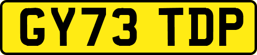 GY73TDP
