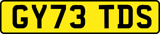 GY73TDS