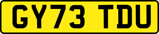 GY73TDU