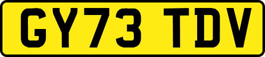 GY73TDV