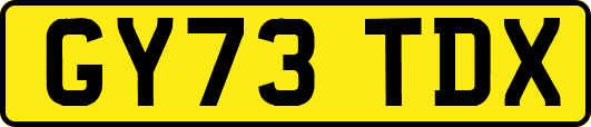 GY73TDX