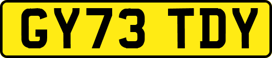 GY73TDY