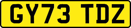 GY73TDZ