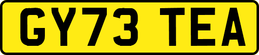 GY73TEA