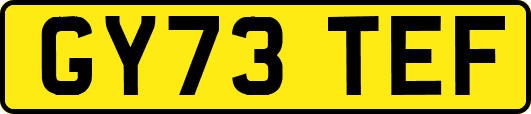 GY73TEF