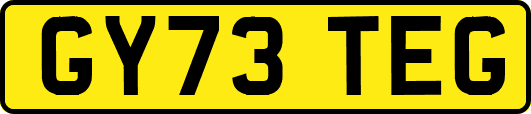 GY73TEG