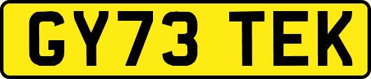 GY73TEK