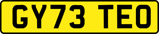 GY73TEO