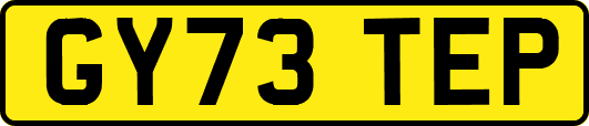 GY73TEP