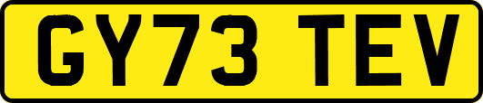 GY73TEV