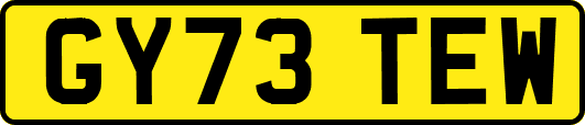 GY73TEW