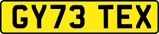 GY73TEX