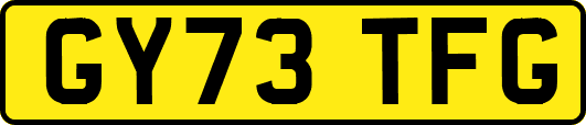 GY73TFG