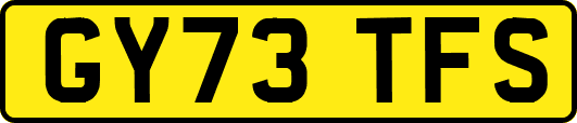 GY73TFS