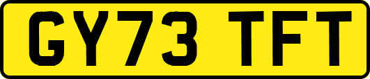 GY73TFT