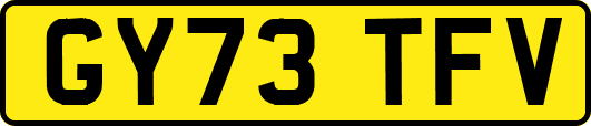 GY73TFV