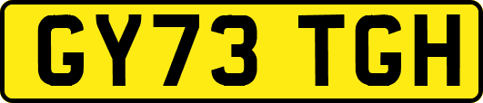 GY73TGH