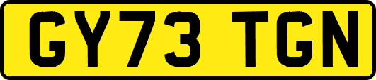 GY73TGN