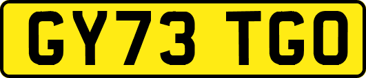 GY73TGO