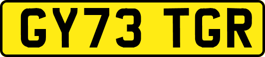 GY73TGR