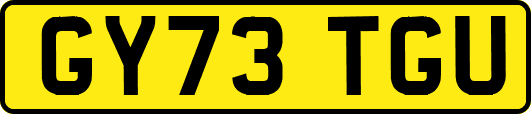 GY73TGU