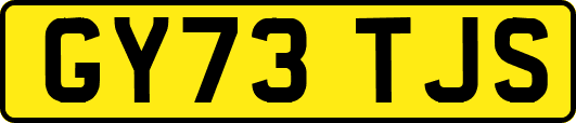 GY73TJS