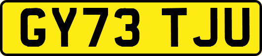 GY73TJU