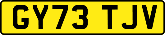 GY73TJV