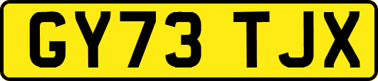 GY73TJX