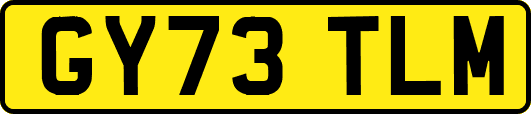 GY73TLM