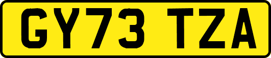GY73TZA