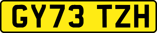 GY73TZH