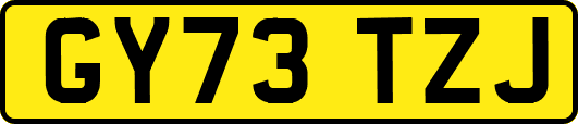 GY73TZJ