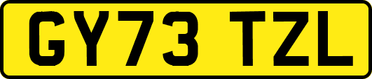 GY73TZL