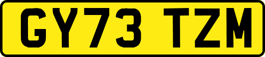 GY73TZM