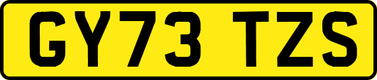 GY73TZS