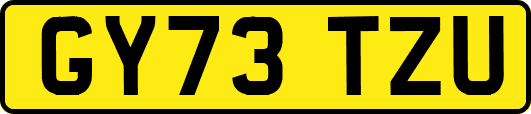 GY73TZU