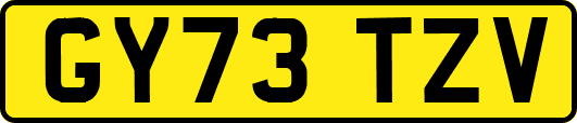 GY73TZV